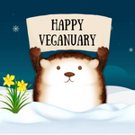 veganuary… what’s it all about?
