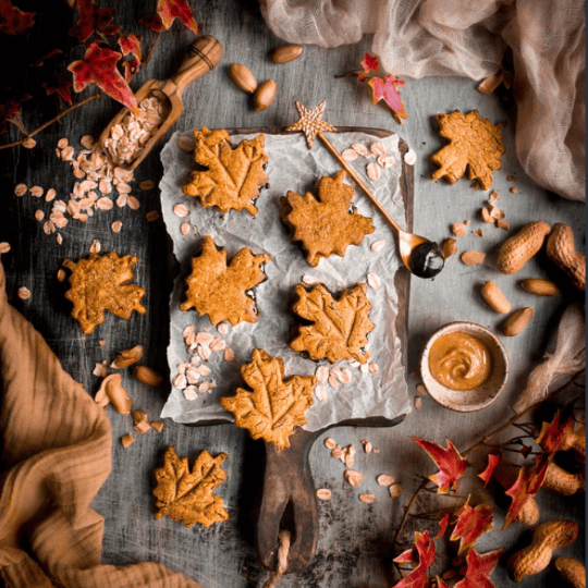 salted caramel chocolate autumn biscuits