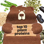top 10 plant-based protein sources